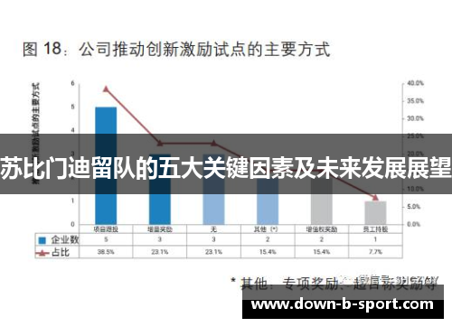苏比门迪留队的五大关键因素及未来发展展望