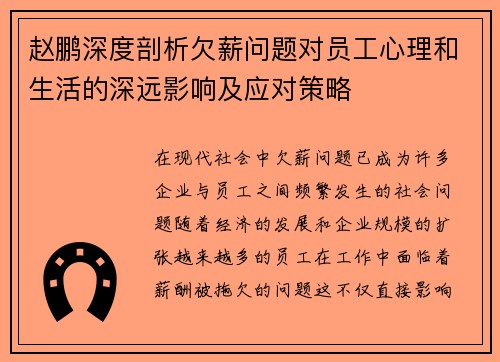 赵鹏深度剖析欠薪问题对员工心理和生活的深远影响及应对策略
