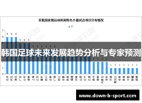 韩国足球未来发展趋势分析与专家预测
